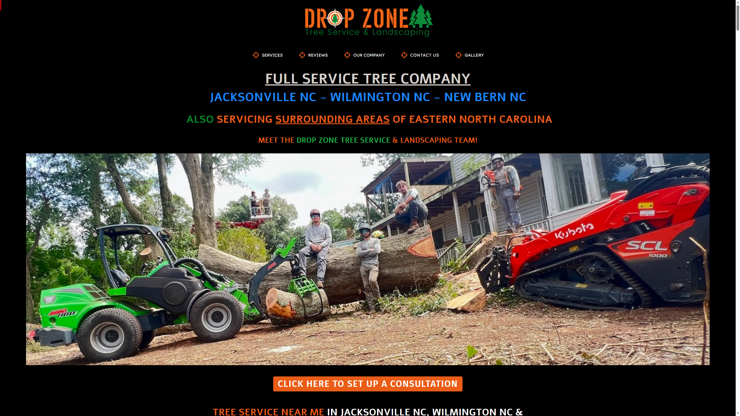 Drop Zone Tree Service Website Screenshot